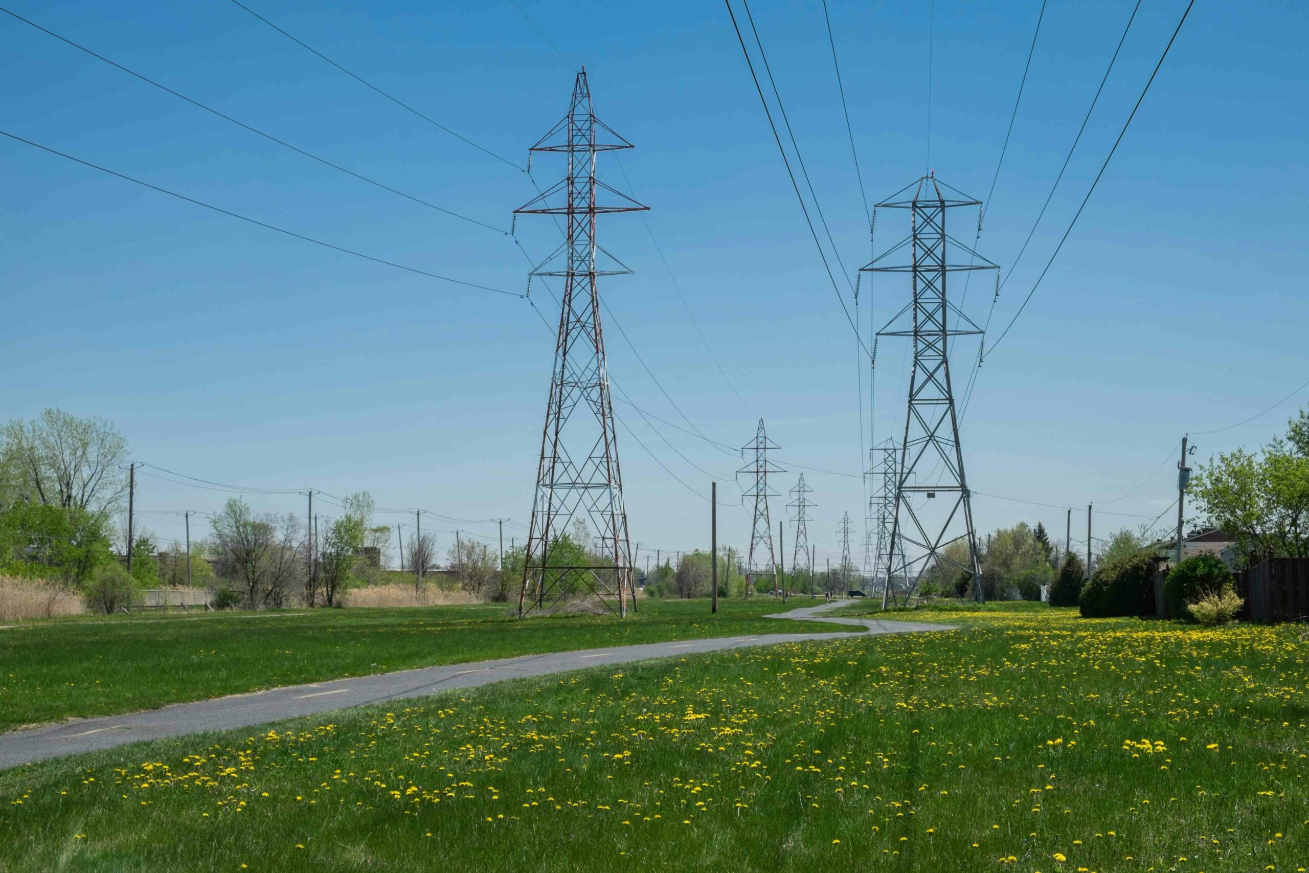 Affordable Electricity and Gas Plans