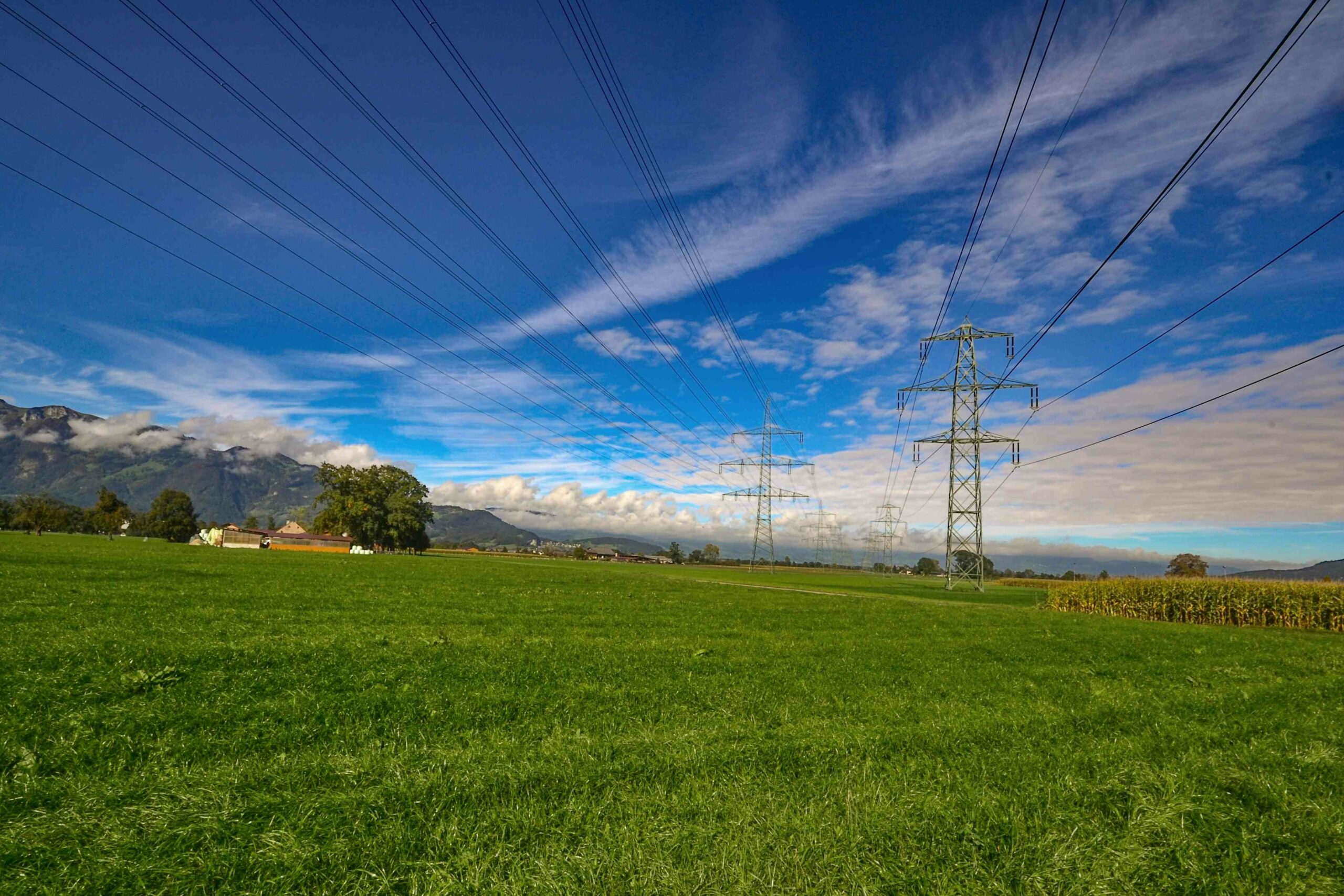 Low Electricity and Gas Plans