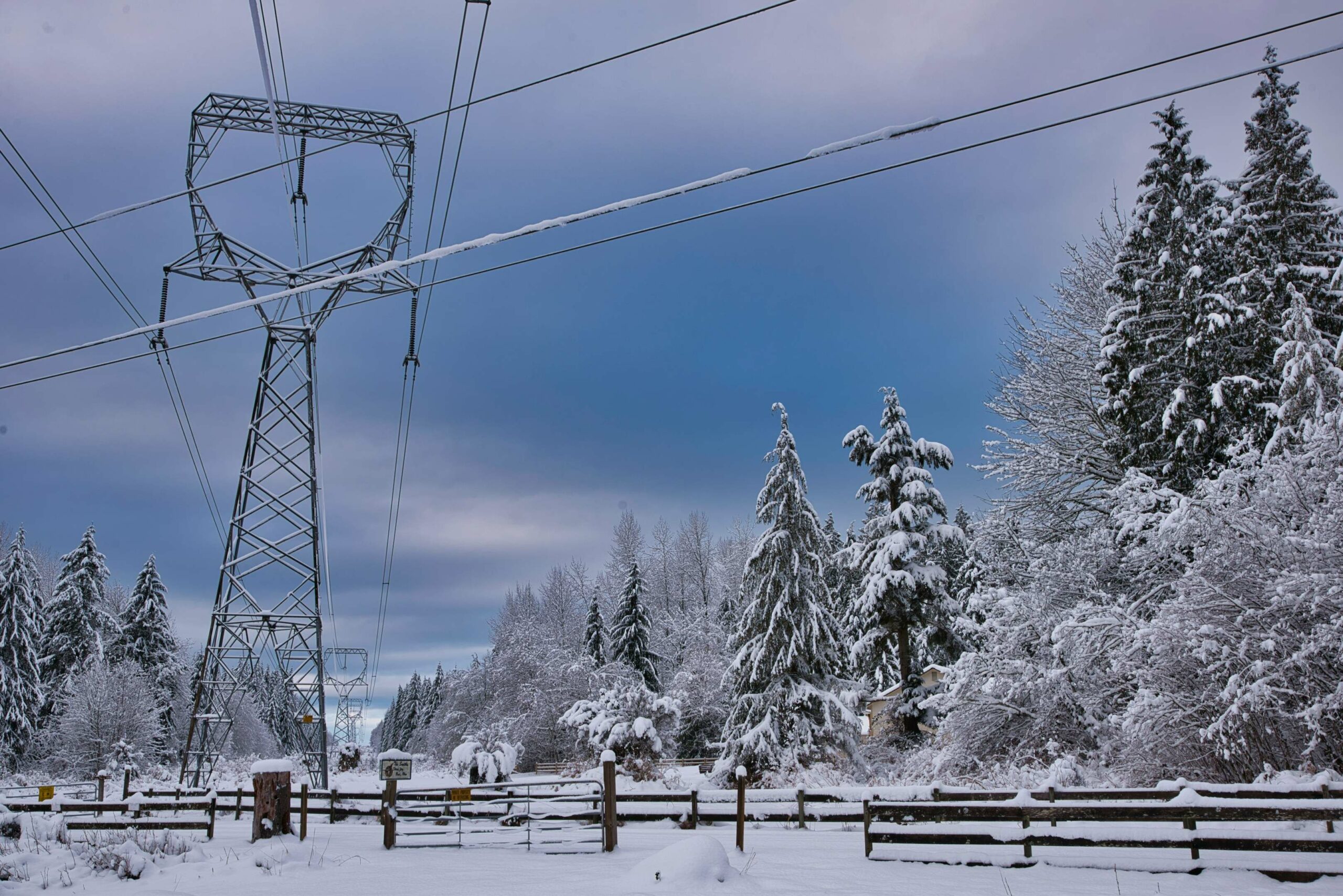 How to Choose or Change Electricity Suppliers in Winter Fast