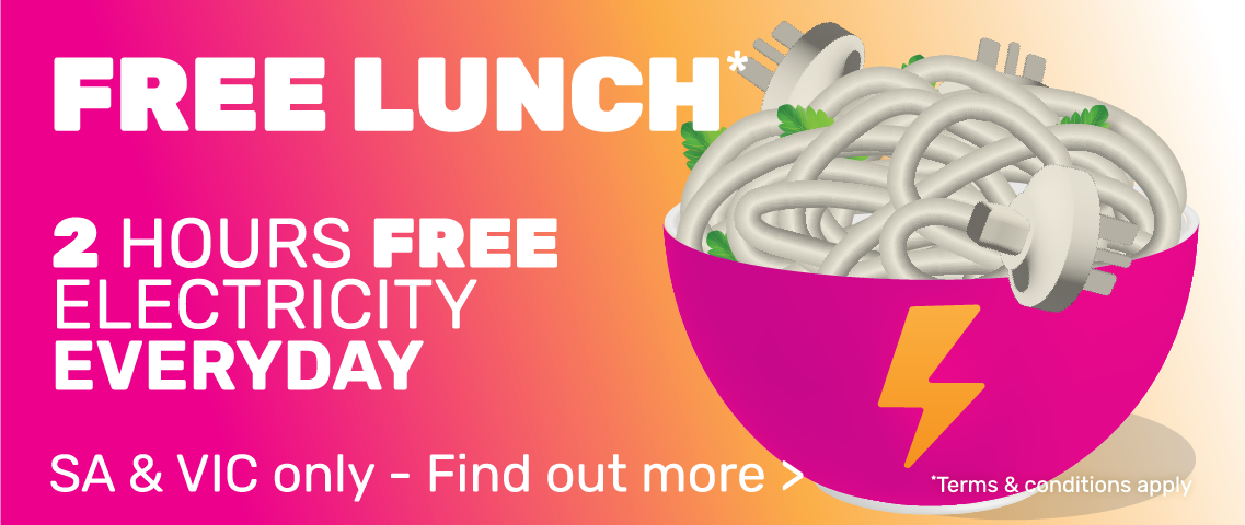 Free Lunch 2 hours free electricity everyday