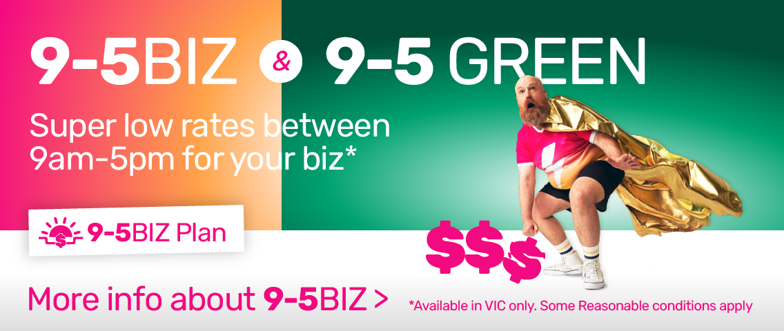 9-5 BIZ & 9-5 Green