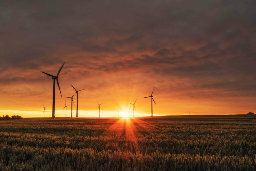 AI in Renewable Energy
