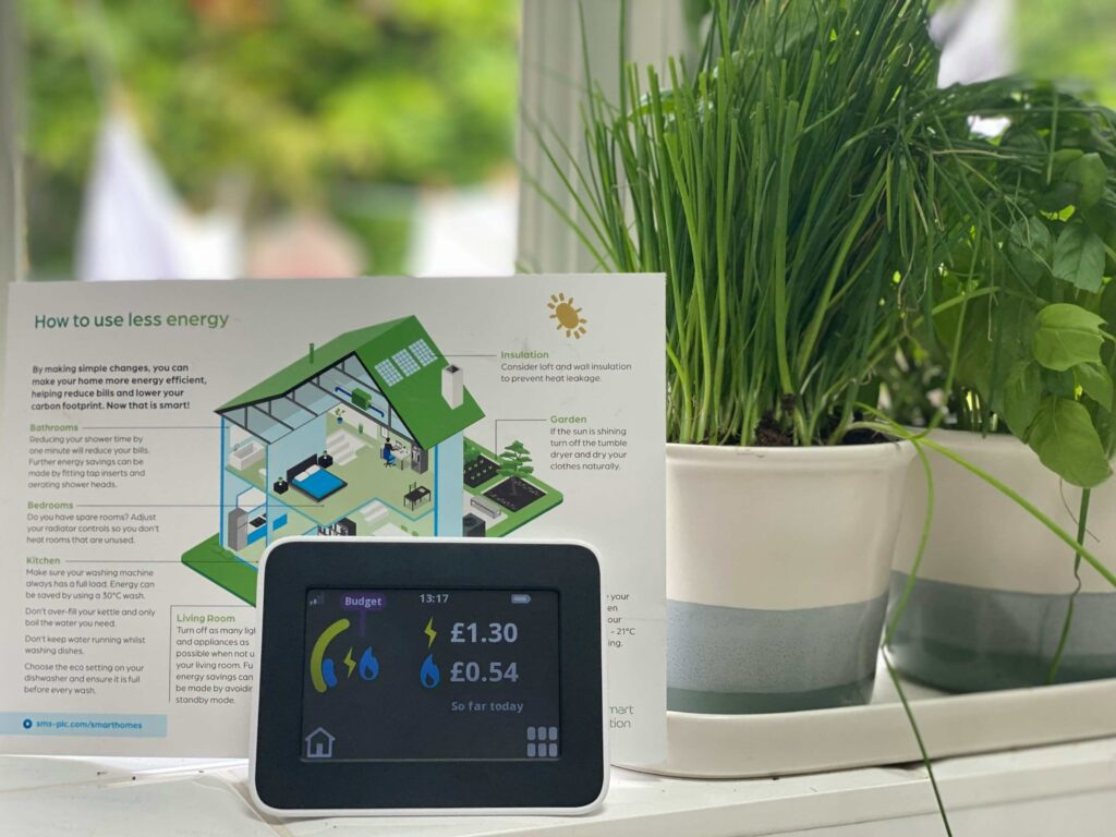 AI in Energy Management